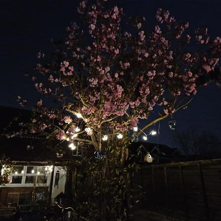 Lotus Pod House Homestay Horsell Zewnętrze zdjęcie