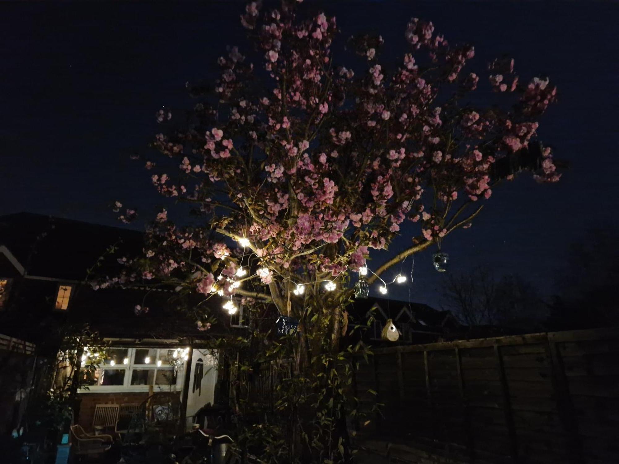 Lotus Pod House Homestay Horsell Zewnętrze zdjęcie